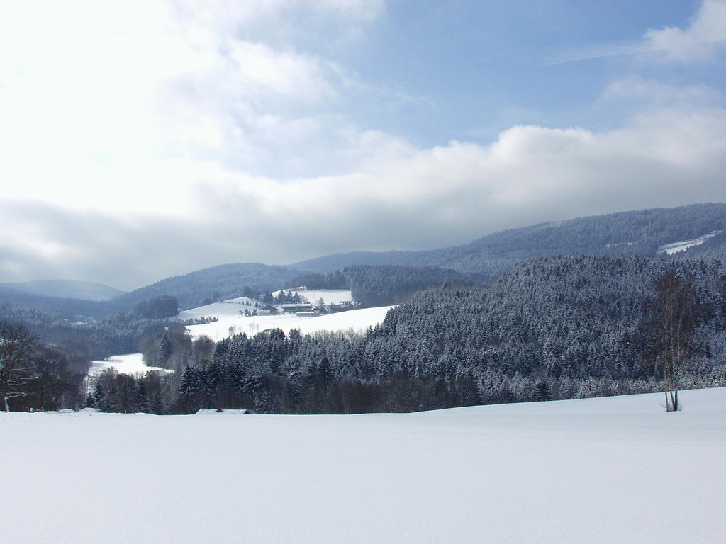 Gasthof-Hotel Dilger Rattenberg Luaran gambar